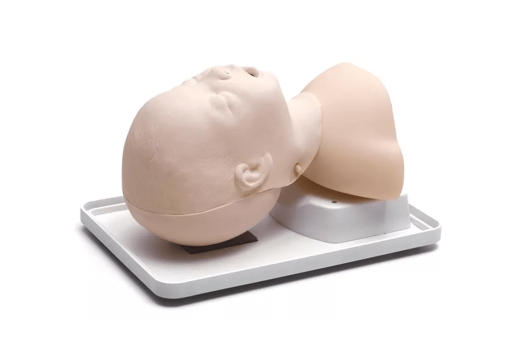 Neugeborenen Intubationstrainer - Erler - Zimmer